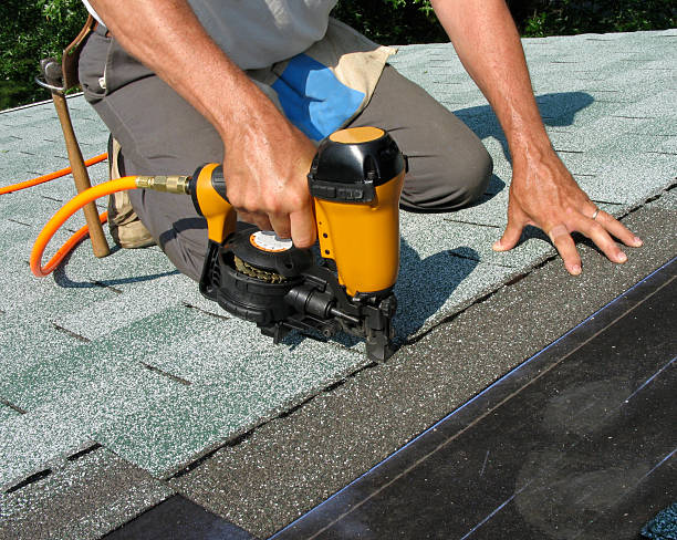 Best Roof Gutter Cleaning  in Vernon, WI