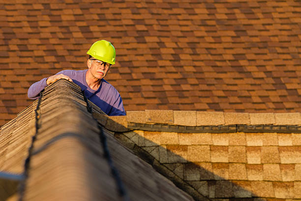 Best Local Roofing Companies  in Vernon, WI