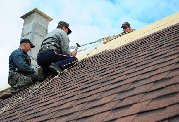 Best Best Roofing Contractors  in Vernon, WI
