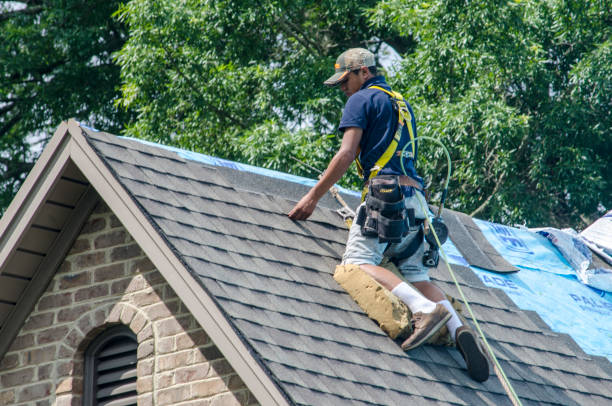 Best Roof Leak Repair  in Vernon, WI
